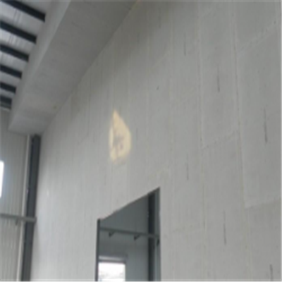 广平新型建筑材料掺多种工业废渣的ALC|ACC|FPS模块板材轻质隔墙板